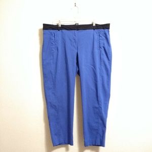 Lane Bryant size 22 Blue Ankle Pants EUC